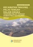 Kecamatan Tanjung Palas Tengah Dalam Angka 2022