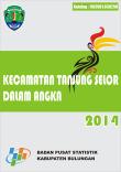 Kecamatan Tanjung Selor Dalam Angka 2014